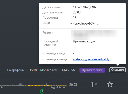 Информация о визите в плеере Вебвизора